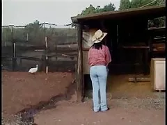 Analsex